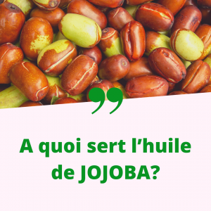 A quoi sert l’huile de Jojoba?